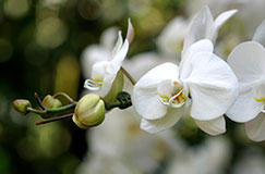WomensMinistry_02