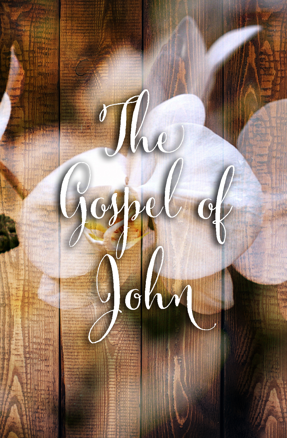 Women's Bible Study The Gospel of John
